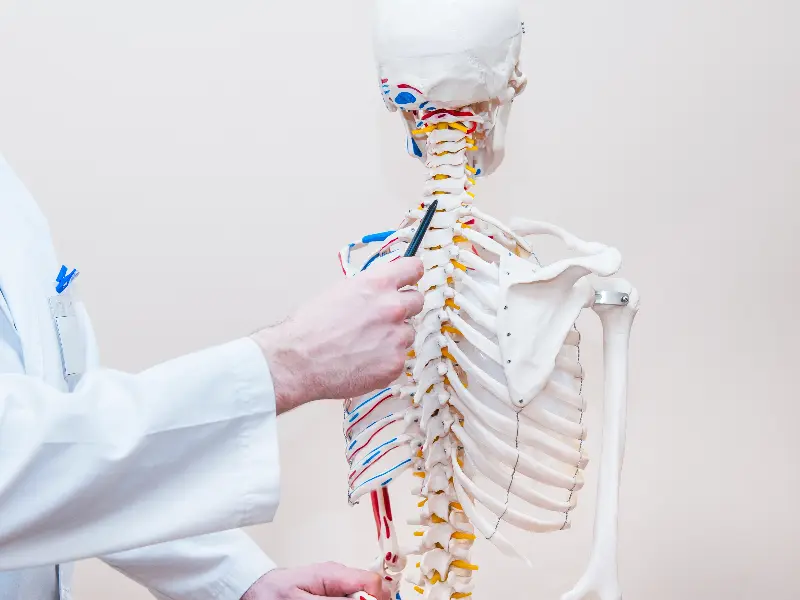 Whiplash Treatment Chiropractor in Belmar, NJ Near Me Whiplash Exam